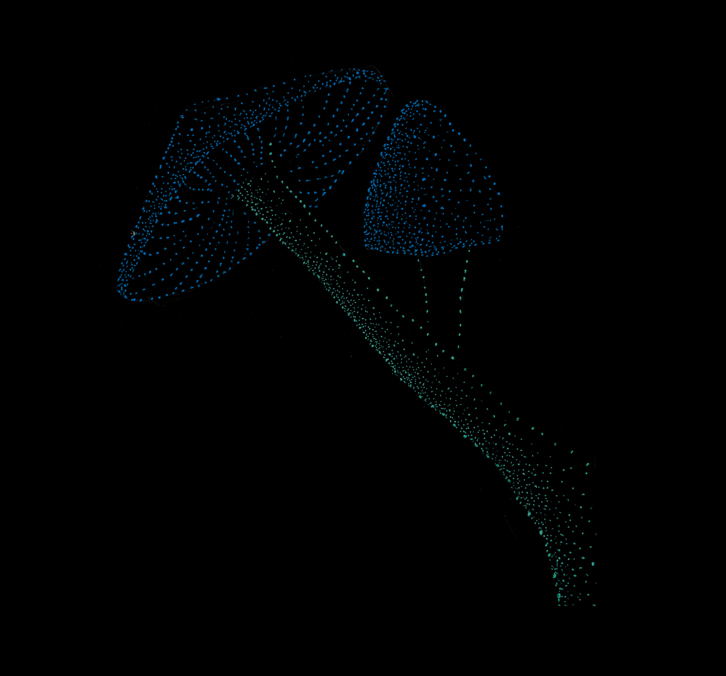 Not Golden Teachers, Fungi, Jindots, 2025 tshirt mushroom tshirt minimal