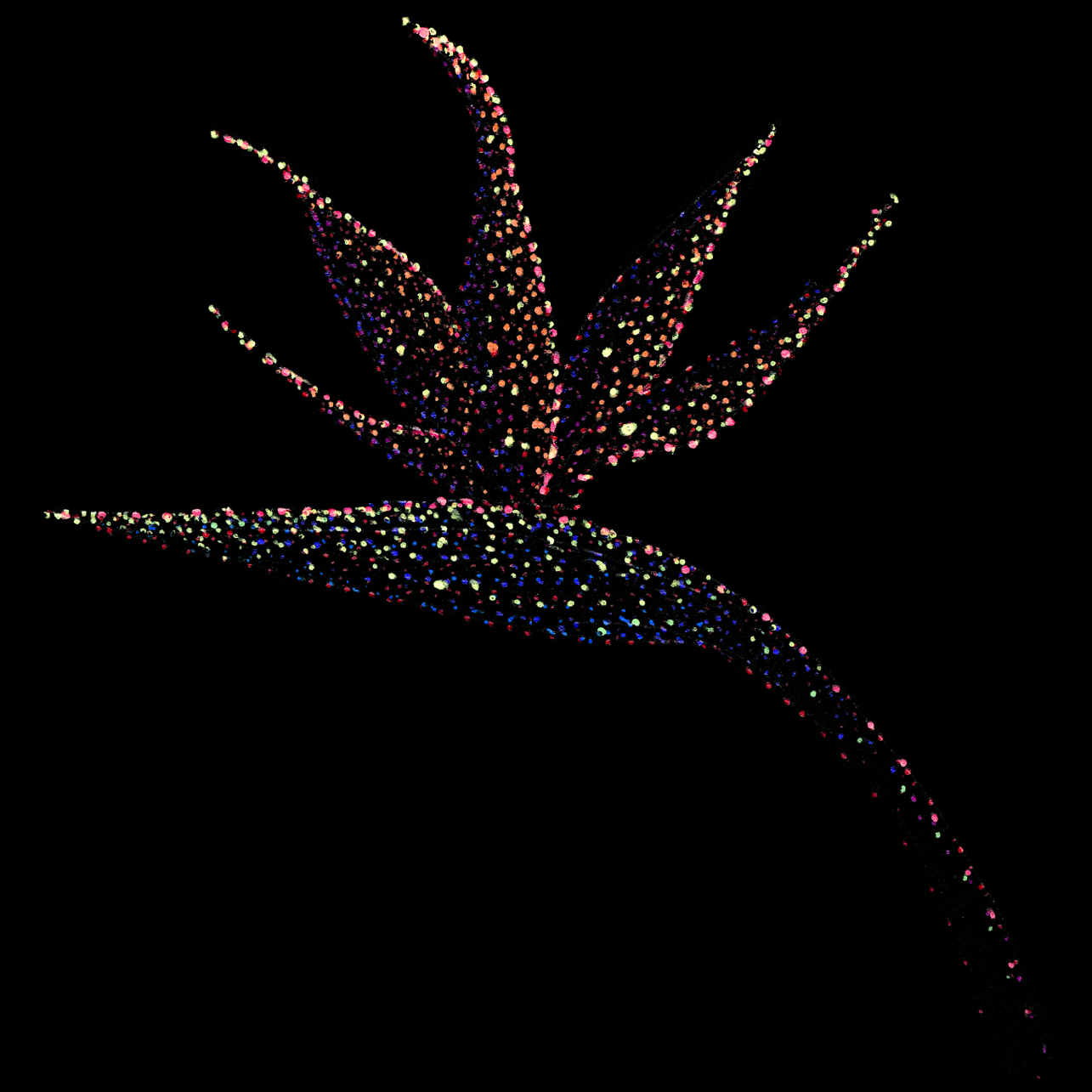 bird-of-paradise-psychedelic-scuba-animal-underwater-art-clothing-tshirt-goft-art-print