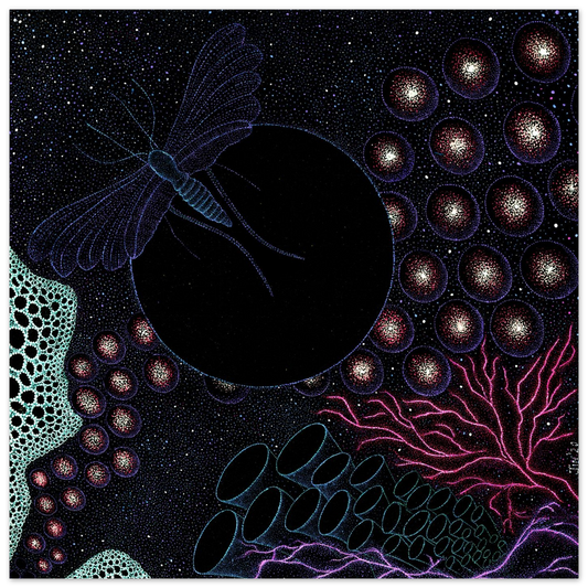 9688e8c2-36ee-458f-b5e6-270e9f20836b