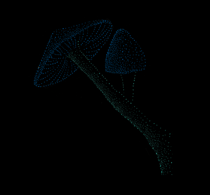 Not Golden Teachers, Fungi, Jindots, 2025 tshirt mushroom tshirt minimal