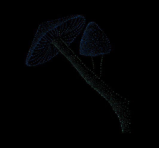 Unisex T-shirt: Akhil's Teachers, Fungi, Jindots, 2025